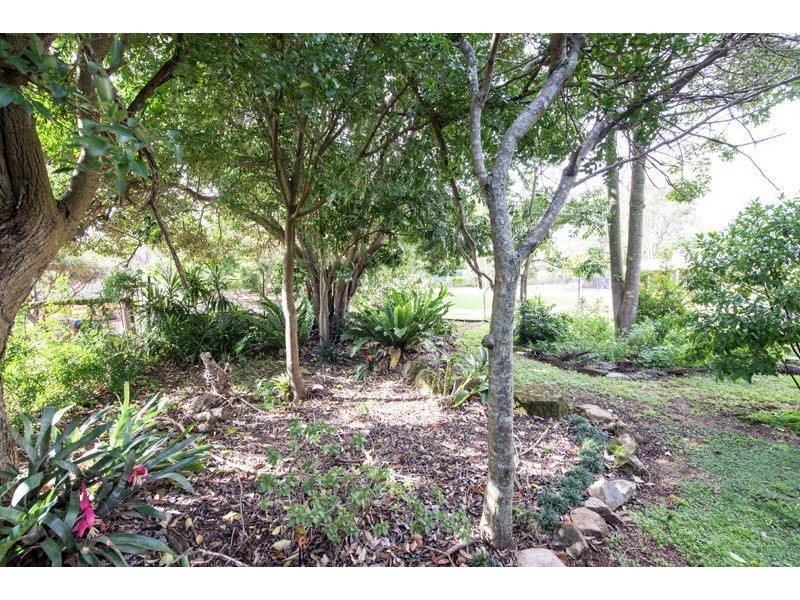 14 Hampton Road, Hampton QLD 4352