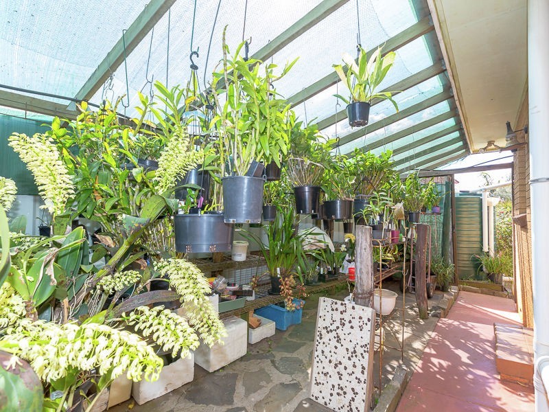 19 Mott Crescent, Rockville QLD 4350