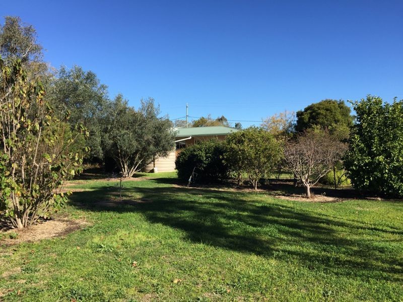 6 Murton Street, Nobby QLD 4360