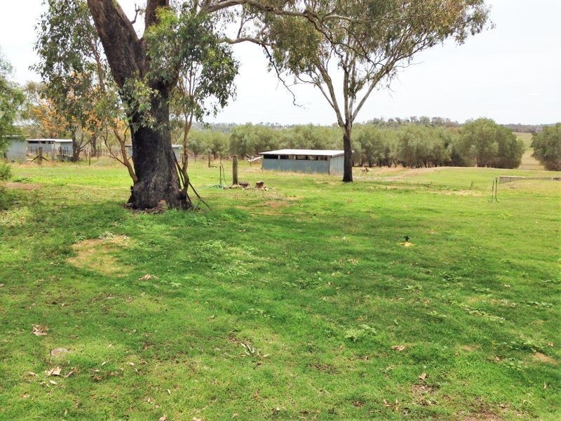 240 Broxburn Road, Pittsworth QLD 4356