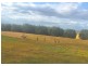 240 Broxburn Road, Pittsworth QLD 4356