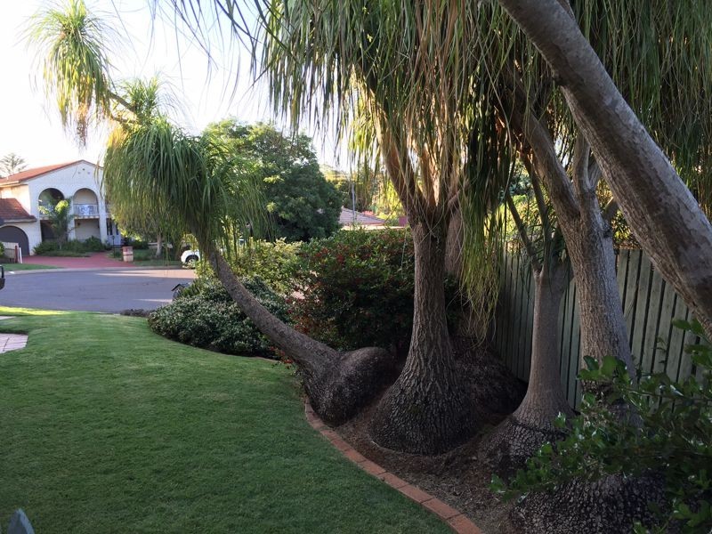 12 Marguerita Court, Centenary Heights QLD 4350