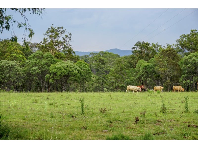 Lot 5 Lagoon Creek Road, West Haldon QLD 4359