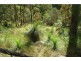 Lot 5 Lagoon Creek Road, West Haldon QLD 4359