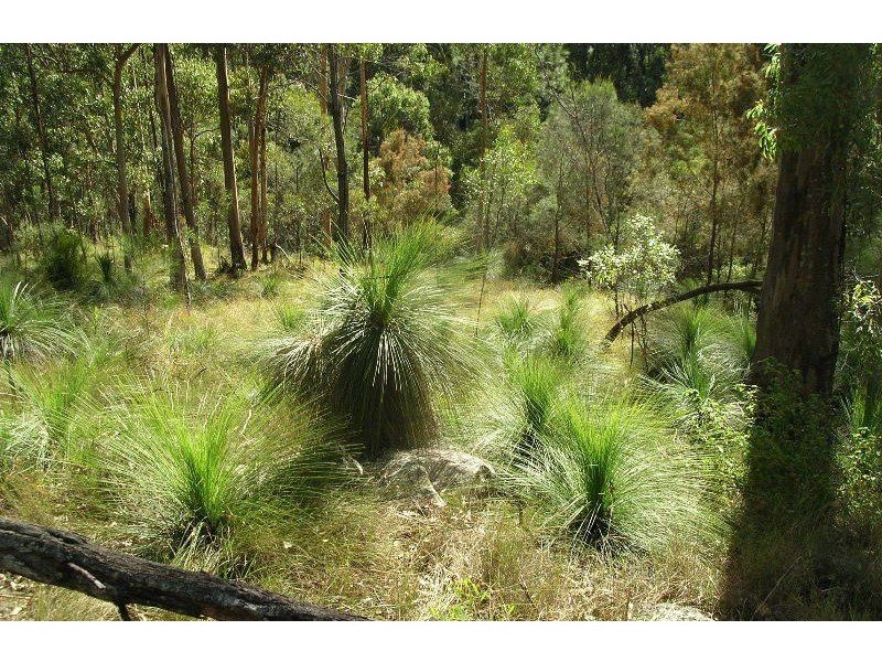 Lot 5 Lagoon Creek Road, West Haldon QLD 4359
