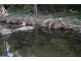 Lot 5 Lagoon Creek Road, West Haldon QLD 4359