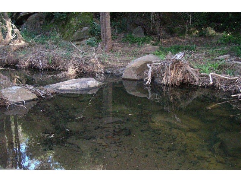 Lot 5 Lagoon Creek Road, West Haldon QLD 4359