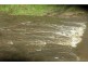 Lot 5 Lagoon Creek Road, West Haldon QLD 4359