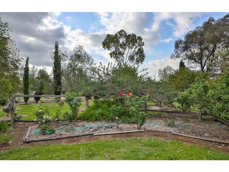 6 Murton Street, Nobby QLD 4360