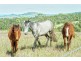 672 Preston Boundary Road, Preston QLD 4352