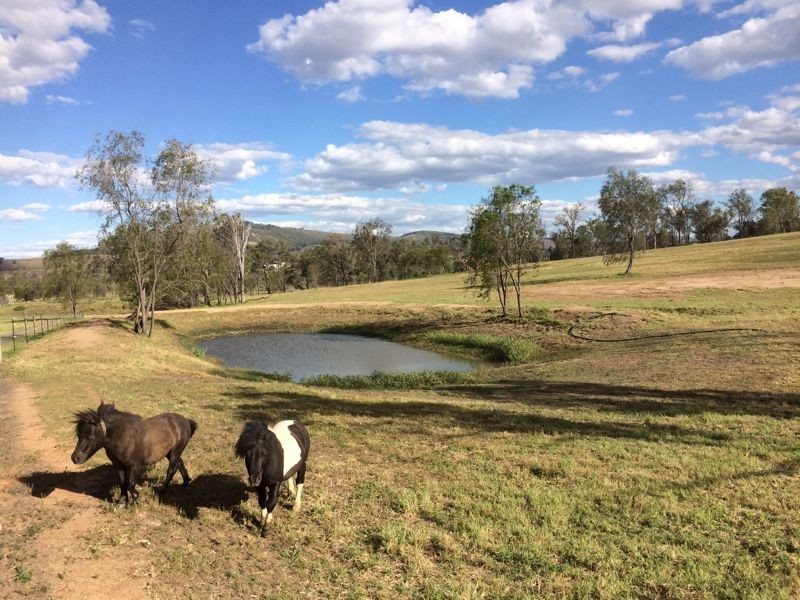 424 Ropeley Rockside Road, Gatton QLD 4343