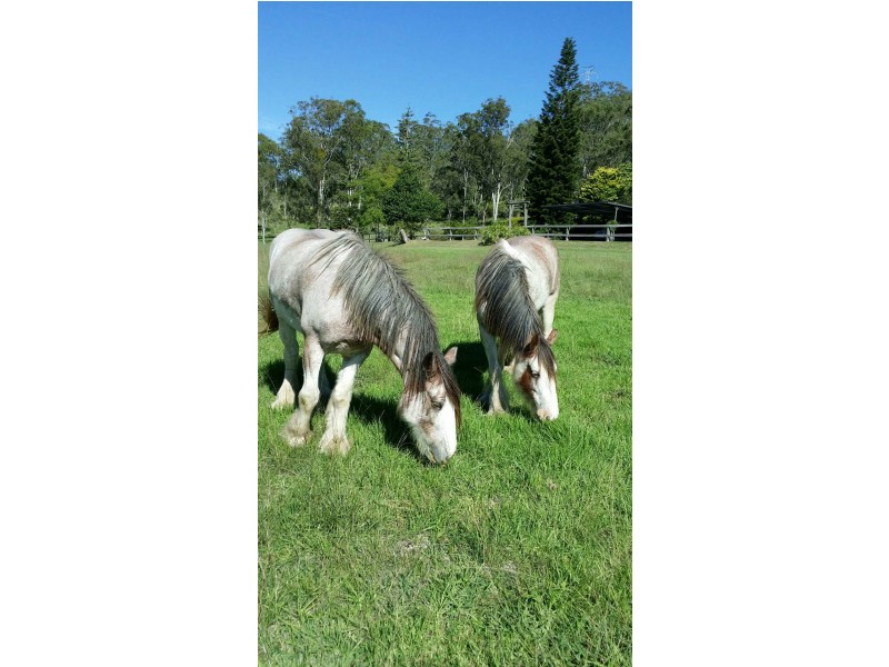 400 Upper Flagstone Creek Road, Upper Flagstone QLD 4344