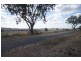 1118 Stoneleigh Road, Linthorpe QLD 4356