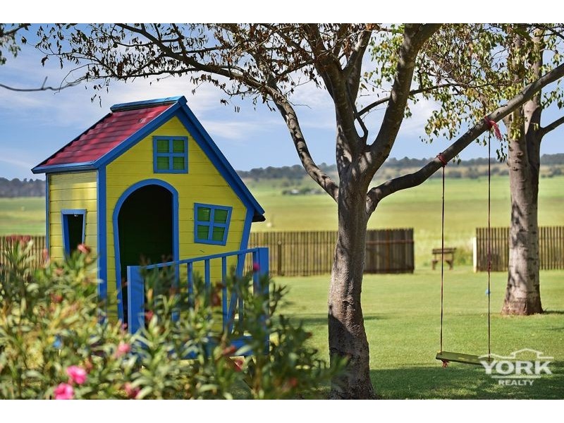 949 Clifton Pittsworth Road, Back Plains QLD 4361