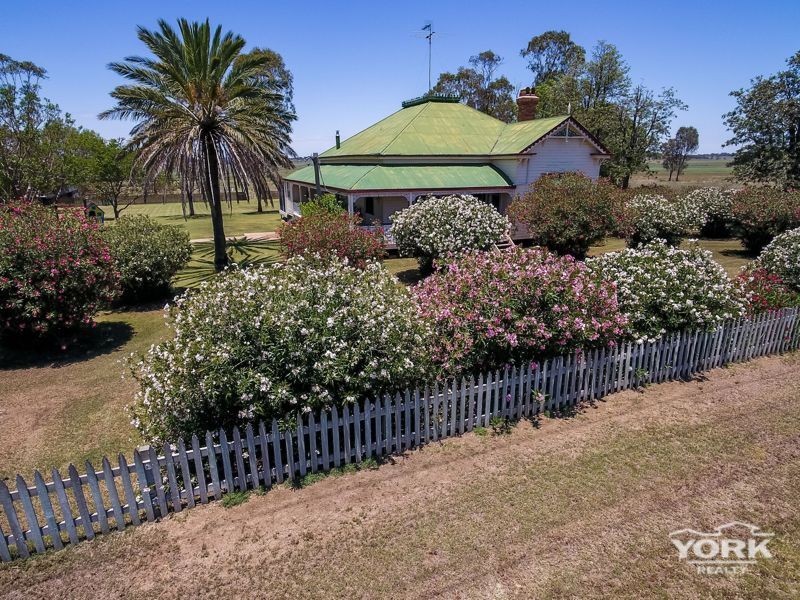 949 Clifton Pittsworth Road, Back Plains QLD 4361