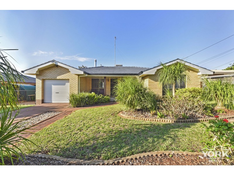 17 Hibiscus Drive, Centenary Heights QLD 4350