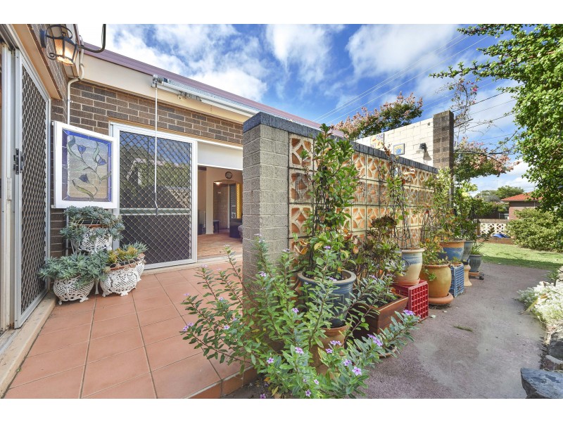 3 Hazel St, Centenary Heights QLD 4350