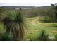 Lot 5 Mount Neale Road, Ramsay QLD 4358