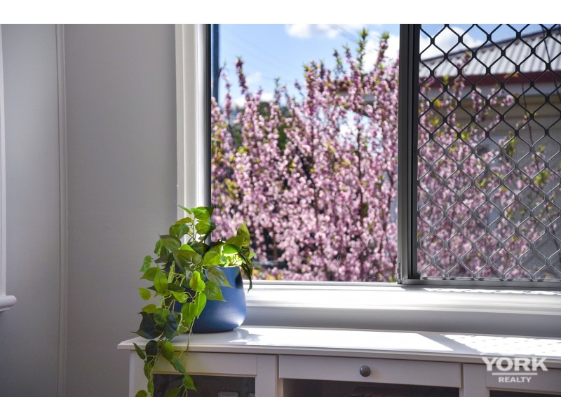 14 Beelbee Street, Harristown QLD 4350