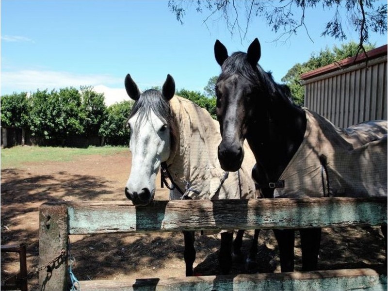 45 Highfields Road, Highfields QLD 4352