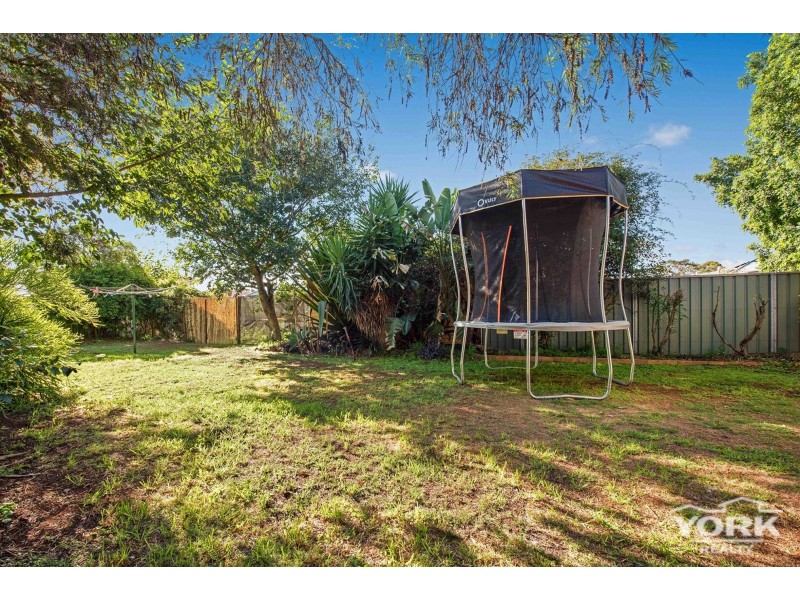 7 Ranfurly Street, Newtown QLD 4350