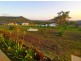 Kingsthorpe QLD 4400