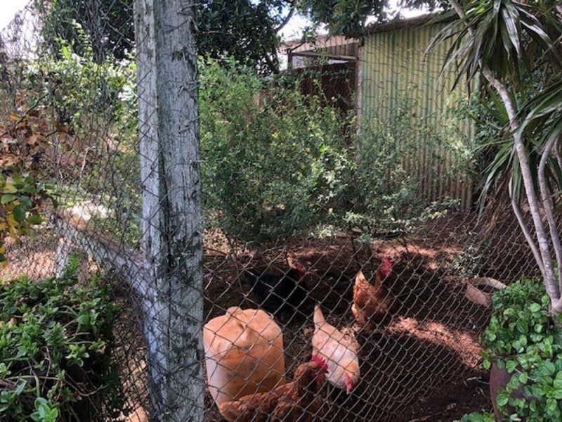 North Toowoomba QLD 4350