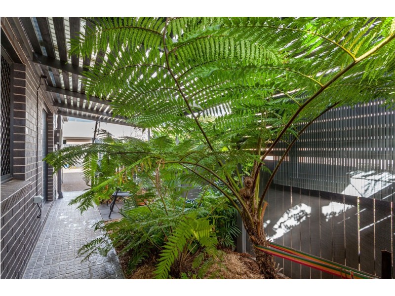 3/27 Devine Street, Harristown QLD 4350