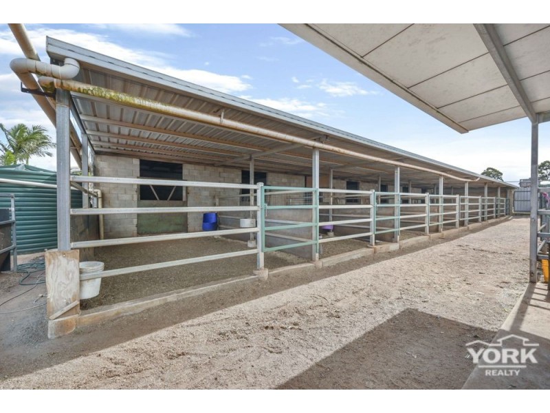 Newtown QLD 4350