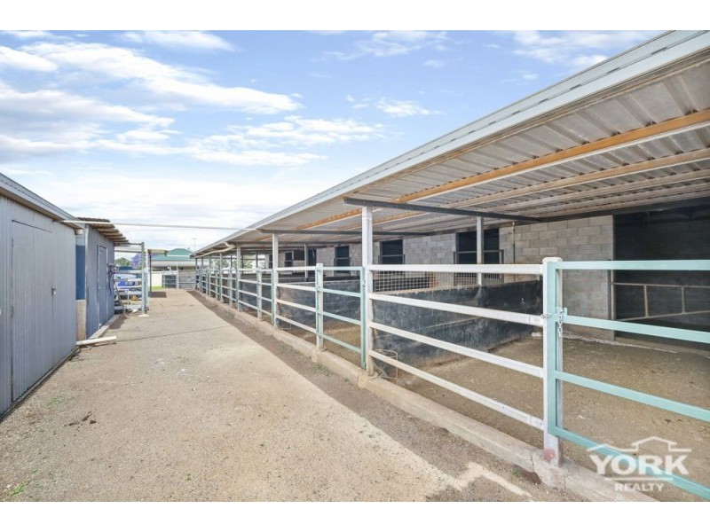 Newtown QLD 4350