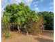 St Lawrence QLD 4707