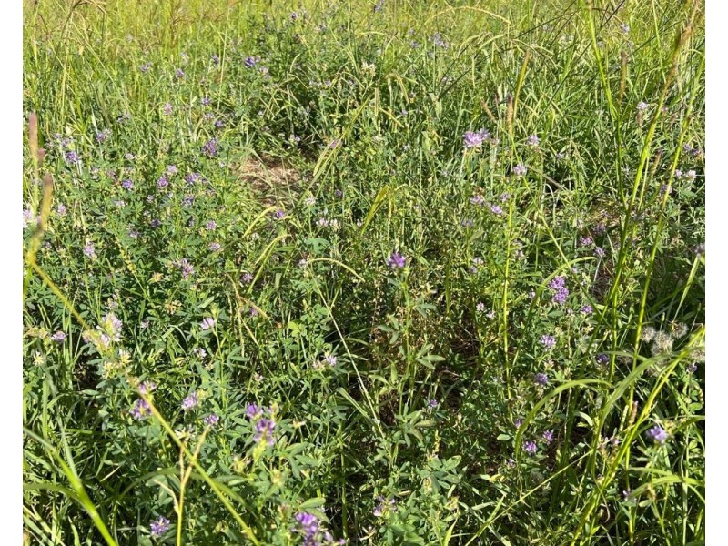 56 Kumbia Back Road, Benair QLD 4610