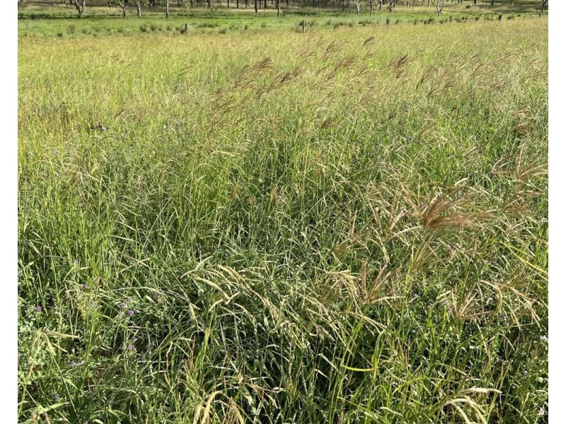 56 Kumbia Back Road, Benair QLD 4610