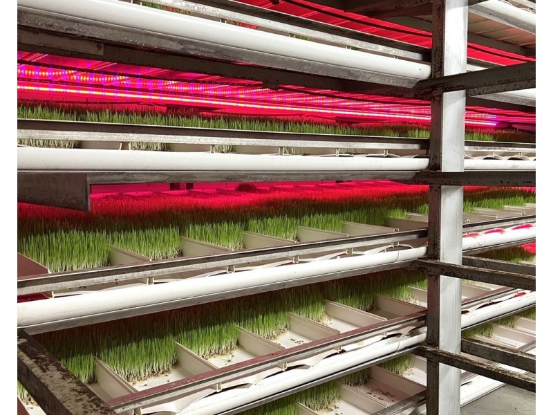 56 Kumbia Back Road, Benair QLD 4610