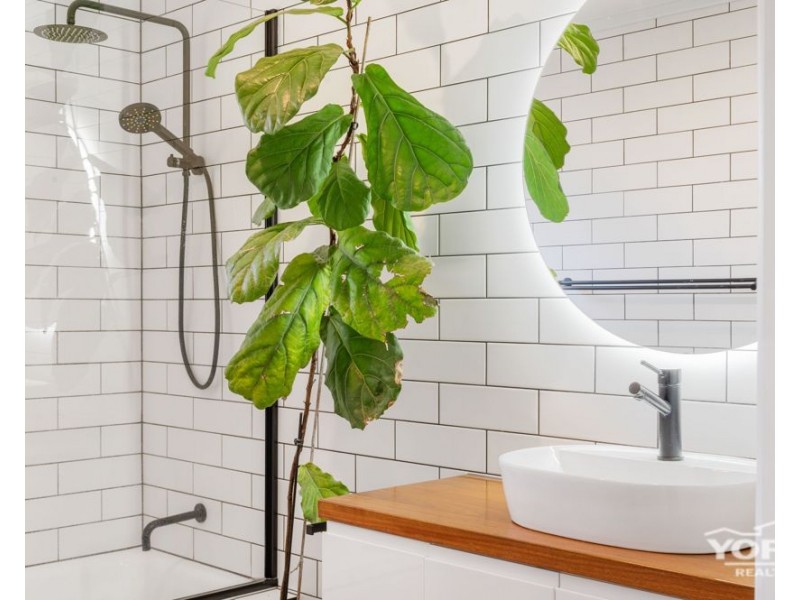 Darling Heights QLD 4350