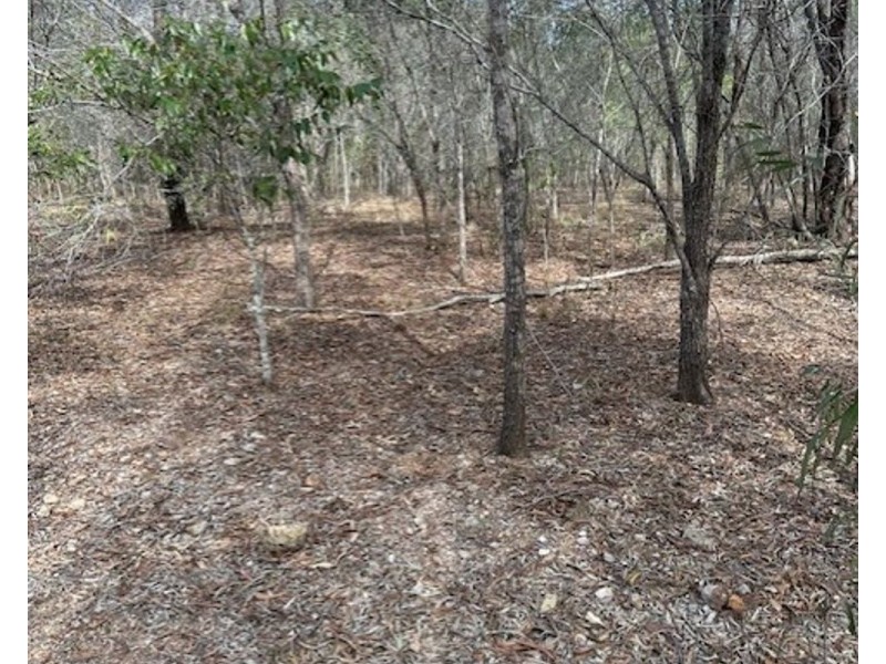 Lot 49 Railway Parade, St Lawrence QLD 4707