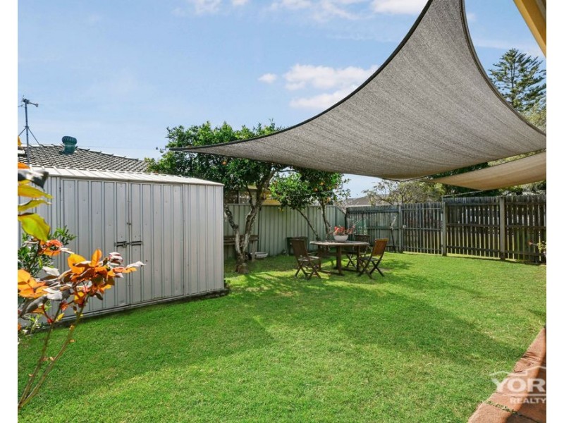 17 Podd Street, Wilsonton QLD 4350