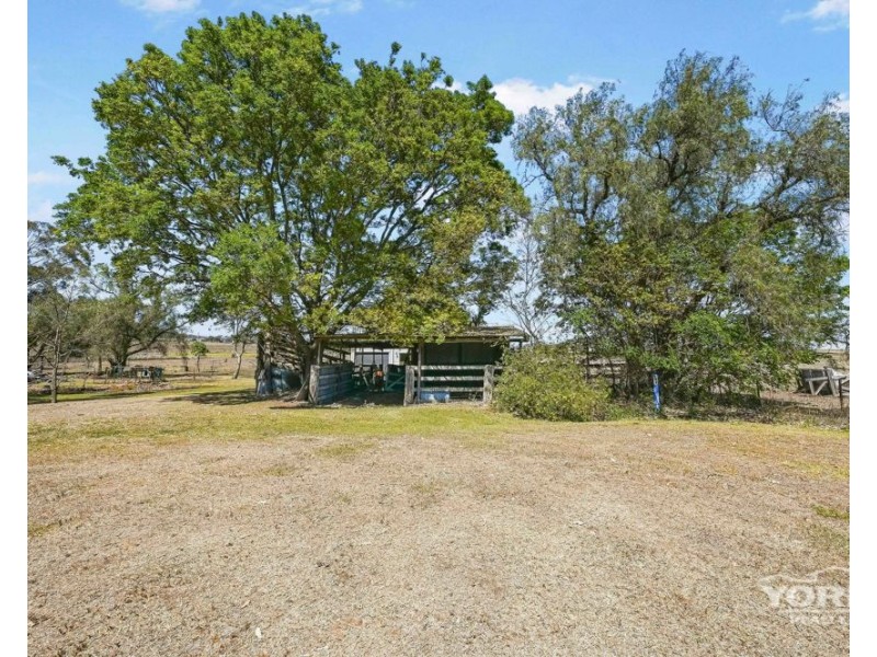6 Caton Street, Drayton QLD 4350