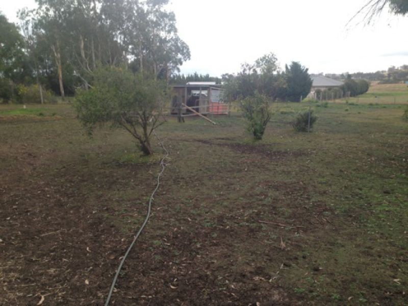 41 Meringandan-shirley Road, Meringandan West QLD 4352