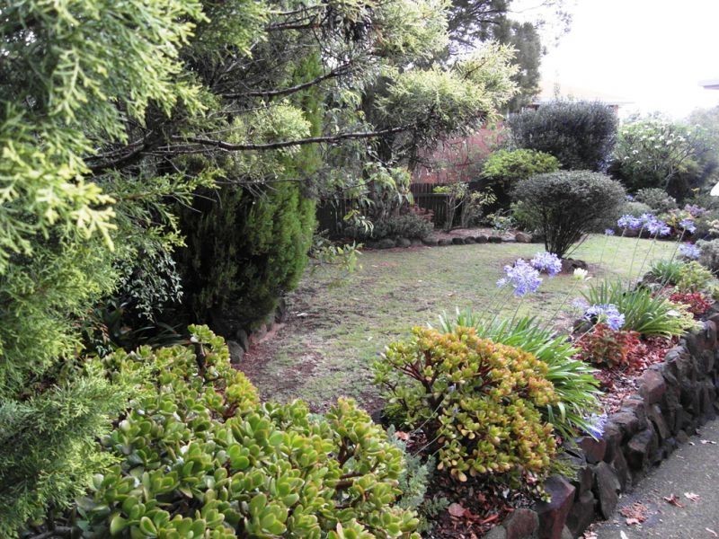 16 Darling Street, Drayton QLD 4350