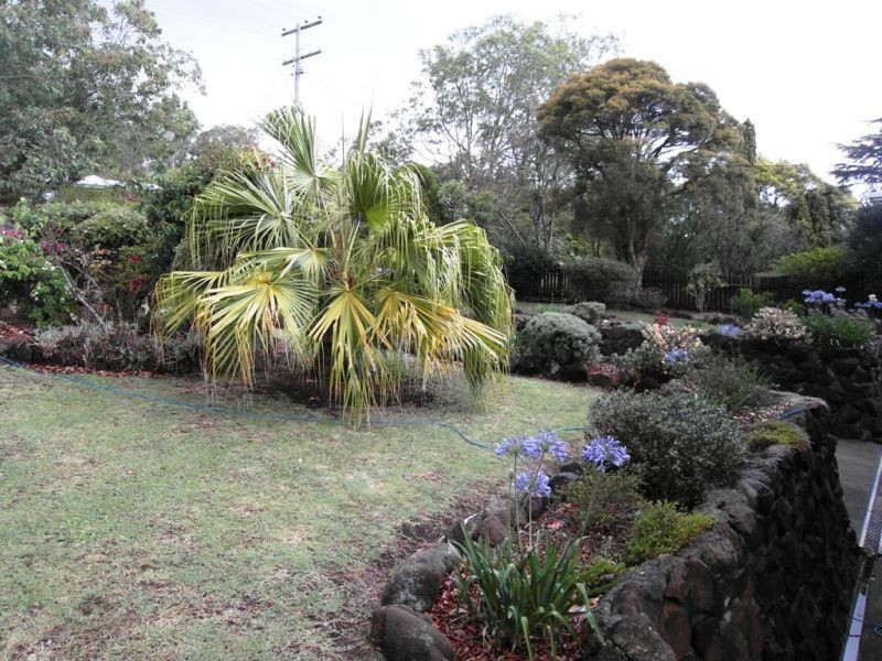 16 Darling Street, Drayton QLD 4350