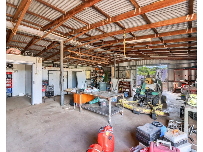 60 Gulnare Road, Bees Creek NT 0822