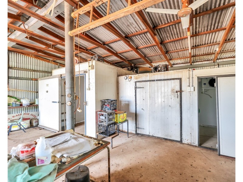 60 Gulnare Road, Bees Creek NT 0822