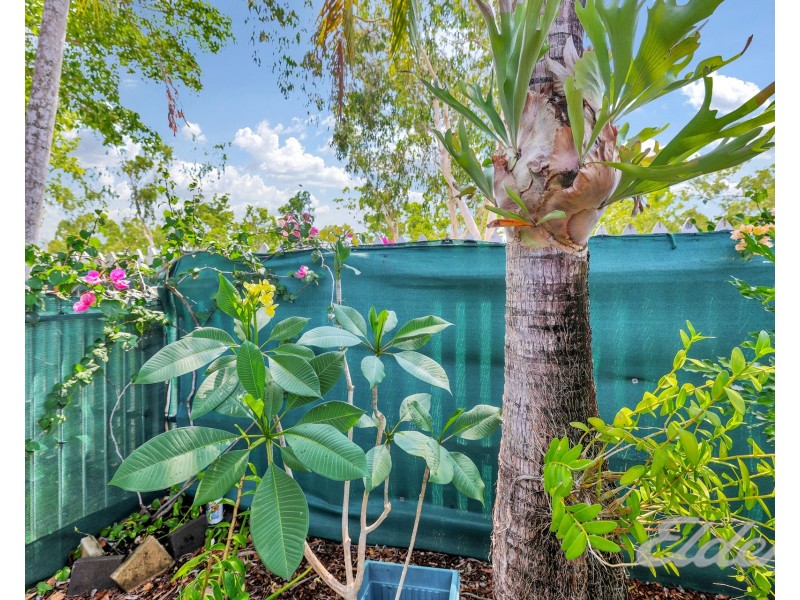 6/59 Noltenius Circuit, Gray NT 0830