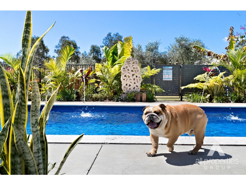 2-10 Lochview Court, Tamborine QLD 4270