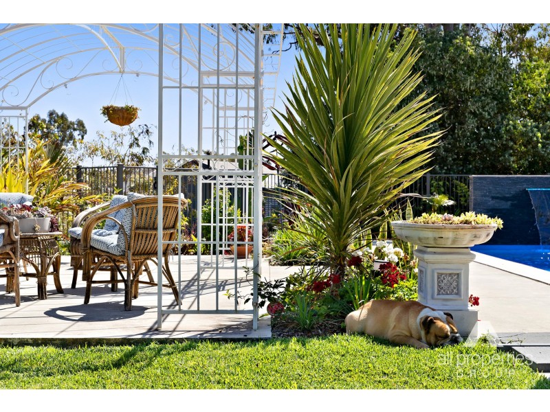 2-10 Lochview Court, Tamborine QLD 4270