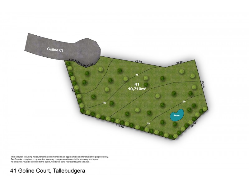 41 Goline Court, Tallebudgera QLD 4228