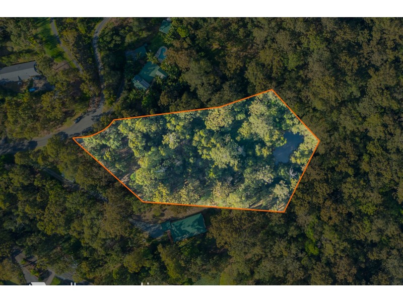 41 Goline Court, Tallebudgera QLD 4228