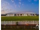 126 Riemore Circuit, Tamborine QLD 4270