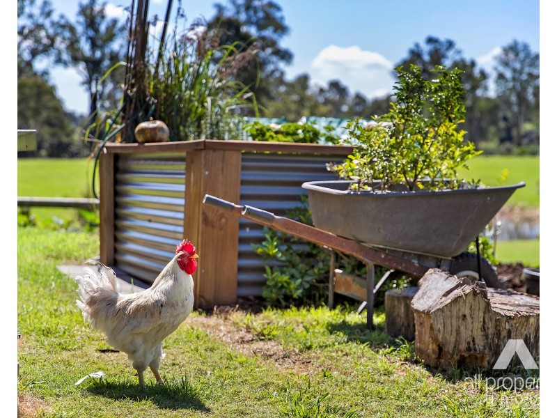 91-93 Riemore Circuit, Tamborine QLD 4270